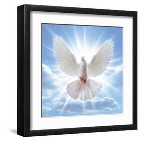 Peace Dove in-Front Of The Sun-null-Framed Art Print