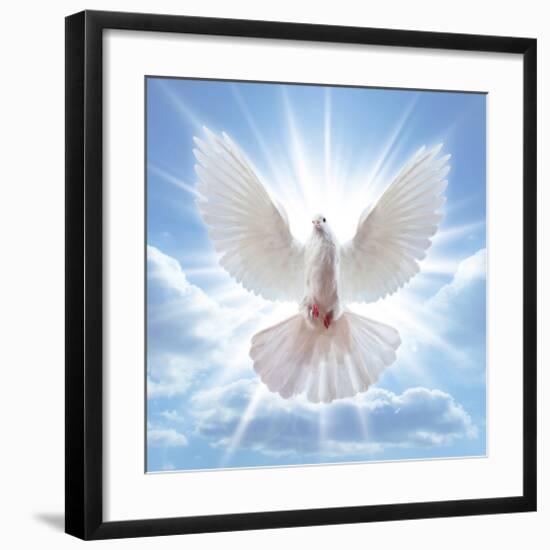 Peace Dove in-Front Of The Sun-null-Framed Art Print