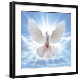 Peace Dove in-Front Of The Sun-null-Framed Art Print