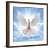 Peace Dove in-Front Of The Sun-null-Framed Art Print