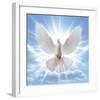 Peace Dove in-Front Of The Sun-null-Framed Art Print