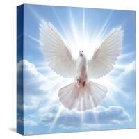 Peace Dove in-Front Of The Sun-null-Stretched Canvas