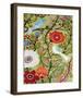 Peace Garden-Karen  Fields-Framed Art Print