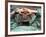 Peace Helmet-Associated Press-Framed Photographic Print