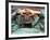 Peace Helmet-Associated Press-Framed Photographic Print