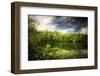 Peace in Here-Philippe Sainte-Laudy-Framed Photographic Print