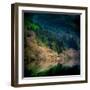 Peace in the Forest-Lynne Douglas-Framed Photographic Print