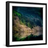 Peace in the Forest-Lynne Douglas-Framed Photographic Print