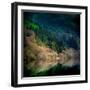 Peace in the Forest-Lynne Douglas-Framed Photographic Print