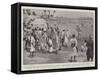 Peace in the Soudan, the First Cricket Match Ever Played at Khartoum-Henry Marriott Paget-Framed Stretched Canvas