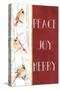 Peace Joy Merry-Janice Gaynor-Stretched Canvas