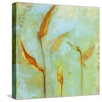 Peace Lily 1-Maeve Harris-Stretched Canvas