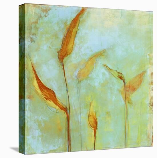 Peace Lily 1-Maeve Harris-Stretched Canvas