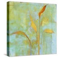 Peace Lily 2-Maeve Harris-Stretched Canvas