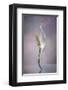 Peace Lily-Scott Peck-Framed Art Print