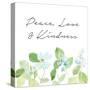 Peace Love & Kindness-Lanie Loreth-Stretched Canvas