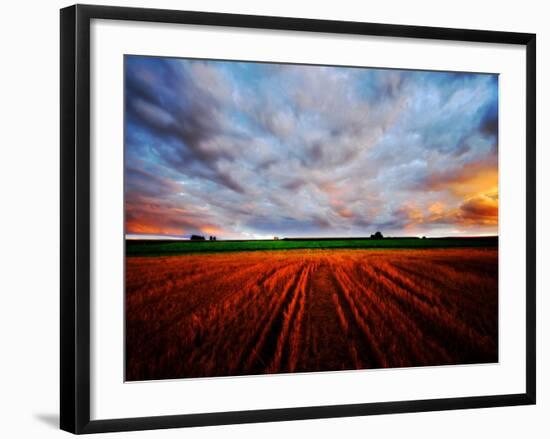 Peace of My Mind-Philippe Sainte-Laudy-Framed Photographic Print