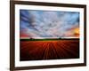 Peace of My Mind-Philippe Sainte-Laudy-Framed Photographic Print