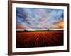 Peace of My Mind-Philippe Sainte-Laudy-Framed Photographic Print