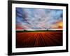 Peace of My Mind-Philippe Sainte-Laudy-Framed Photographic Print