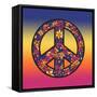 Peace Ombre-Kimberly Allen-Framed Stretched Canvas