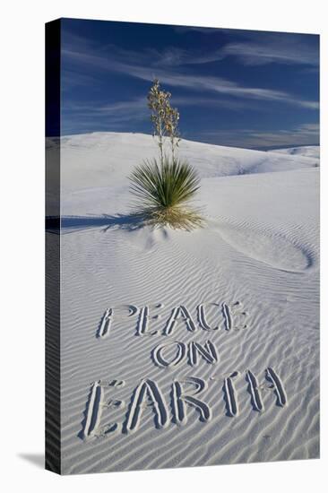 Peace on Earth Written in Sand-Darrell Gulin-Stretched Canvas