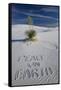 Peace on Earth Written in Sand-Darrell Gulin-Framed Stretched Canvas