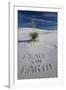 Peace on Earth Written in Sand-Darrell Gulin-Framed Photographic Print
