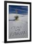 Peace on Earth Written in Sand-Darrell Gulin-Framed Photographic Print