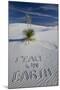 Peace on Earth Written in Sand-Darrell Gulin-Mounted Photographic Print