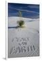 Peace on Earth Written in Sand-Darrell Gulin-Framed Photographic Print