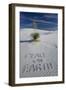 Peace on Earth Written in Sand-Darrell Gulin-Framed Photographic Print