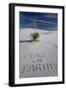 Peace on Earth Written in Sand-Darrell Gulin-Framed Photographic Print