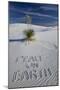 Peace on Earth Written in Sand-Darrell Gulin-Mounted Photographic Print