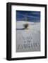 Peace on Earth Written in Sand-Darrell Gulin-Framed Photographic Print