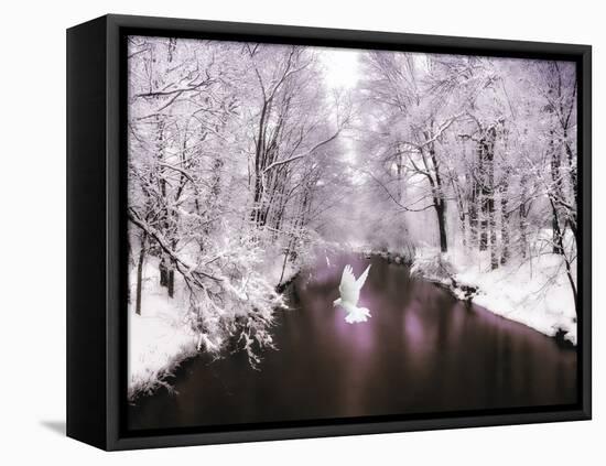 Peace on Earth-Jessica Jenney-Framed Stretched Canvas