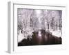 Peace on Earth-Jessica Jenney-Framed Premium Photographic Print