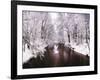 Peace on Earth-Jessica Jenney-Framed Photographic Print