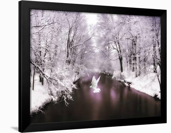 Peace on Earth-Jessica Jenney-Framed Photographic Print