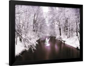 Peace on Earth-Jessica Jenney-Framed Photographic Print