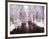 Peace on Earth-Jessica Jenney-Framed Photographic Print