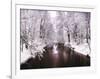 Peace on Earth-Jessica Jenney-Framed Photographic Print