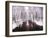 Peace on Earth-Jessica Jenney-Framed Photographic Print