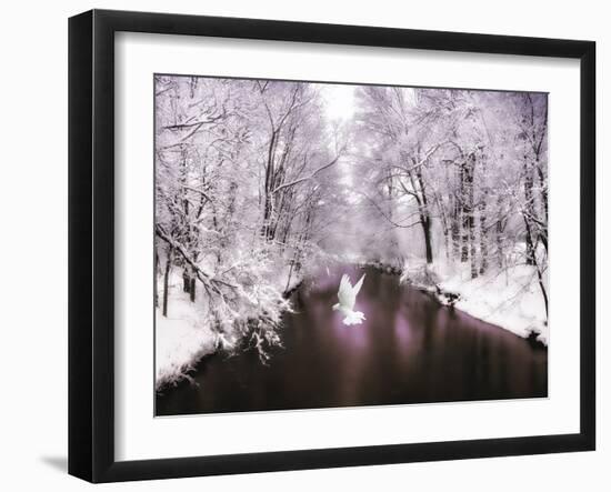 Peace on Earth-Jessica Jenney-Framed Photographic Print