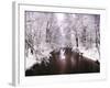 Peace on Earth-Jessica Jenney-Framed Photographic Print