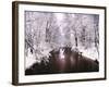 Peace on Earth-Jessica Jenney-Framed Photographic Print