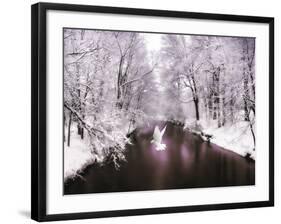 Peace on Earth-Jessica Jenney-Framed Photographic Print