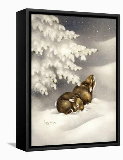Peace on Earth-Peggy Harris-Framed Stretched Canvas
