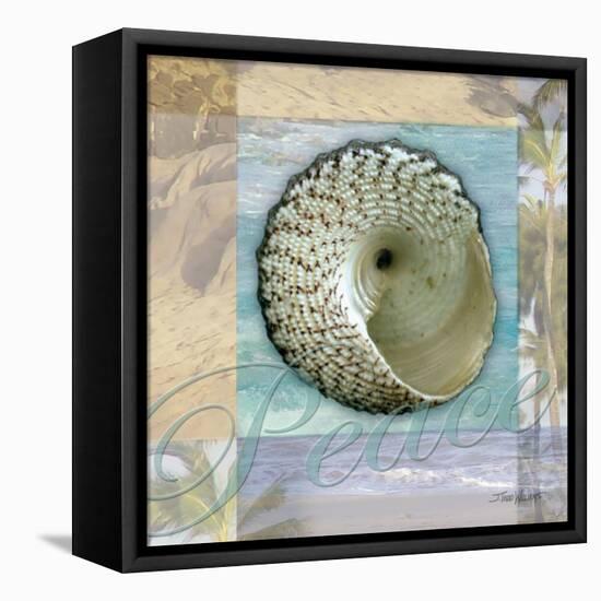 Peace Shell-Todd Williams-Framed Stretched Canvas