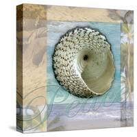 Peace Shell-Todd Williams-Stretched Canvas